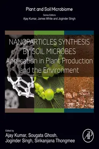 Nanoparticles Synthesis by Soil Microbes_cover