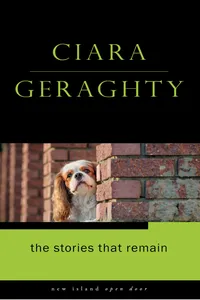 The Stories That Remain_cover