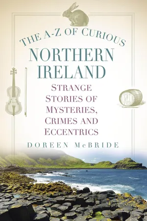 The A-Z of Curious Northern Ireland
