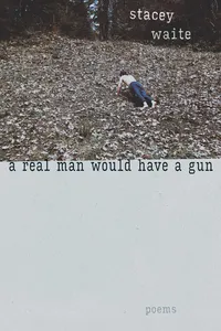 A Real Man Would Have a Gun_cover