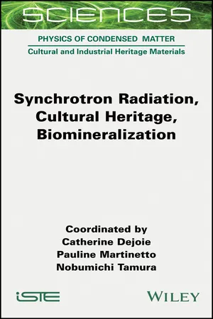 Synchrotron Radiation, Cultural Heritage, Biomineralization