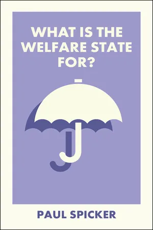 What Is the Welfare State For?