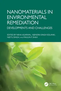 Nanomaterials in Environmental Remediation_cover