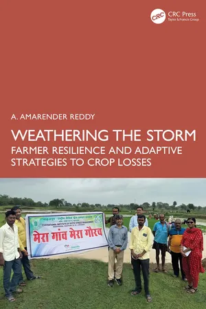 Weathering the Storm