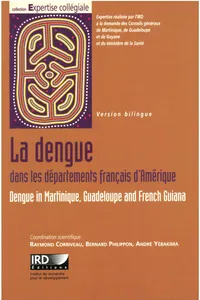 La dengue dans les départements français d’Amérique_cover