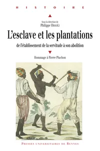 L'esclave et les plantations_cover