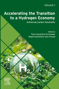 Accelerating the Transition to a Hydrogen Economy_cover