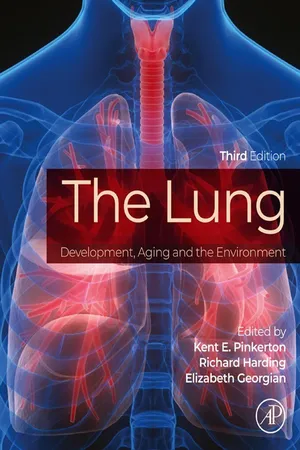 The Lung