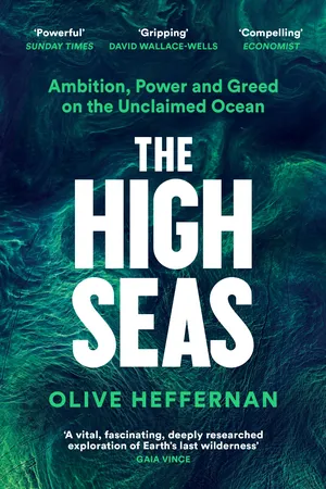 The High Seas