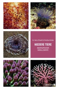 Niedere Tiere indopazifischer Korallenriffe_cover