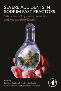 Severe Accidents in Sodium Fast Reactors_cover