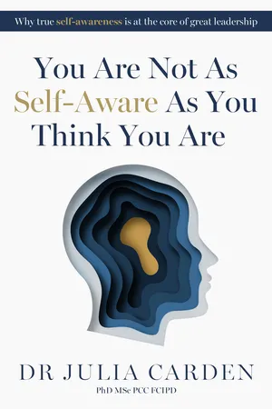 You Are Not As Self-Aware As You Think You Are