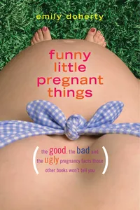 Funny Little Pregnant Things_cover