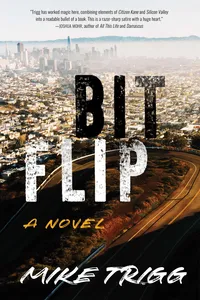 Bit Flip_cover