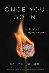 Once You Go In_cover
