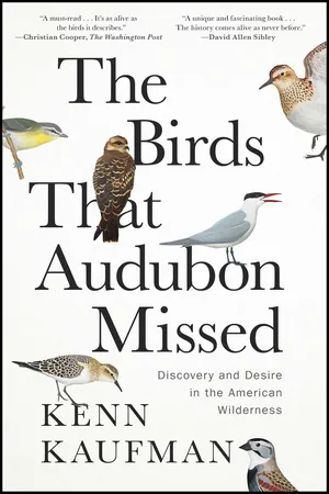 The Birds That Audubon Missed