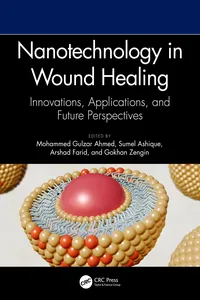 Nanotechnology in Wound Healing_cover