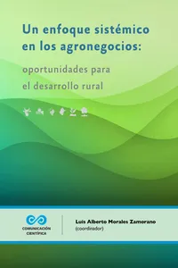 Un enfoque sistémico en los agronegocios : oportunidades para el desarrollo rural