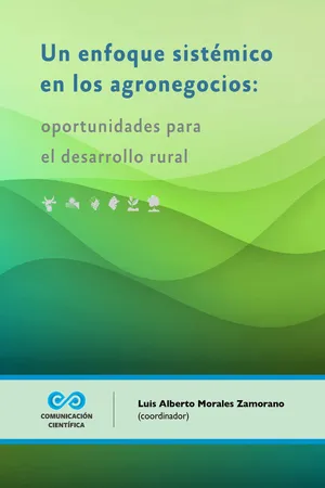 Un enfoque sistémico en los agronegocios : oportunidades para el desarrollo rural