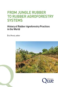 From jungle rubber to Rubber Agroforestry Systems_cover