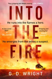 Into the Fire_cover