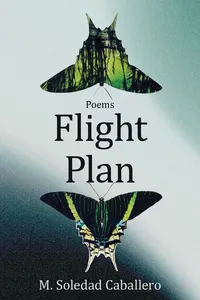 Flight Plan_cover