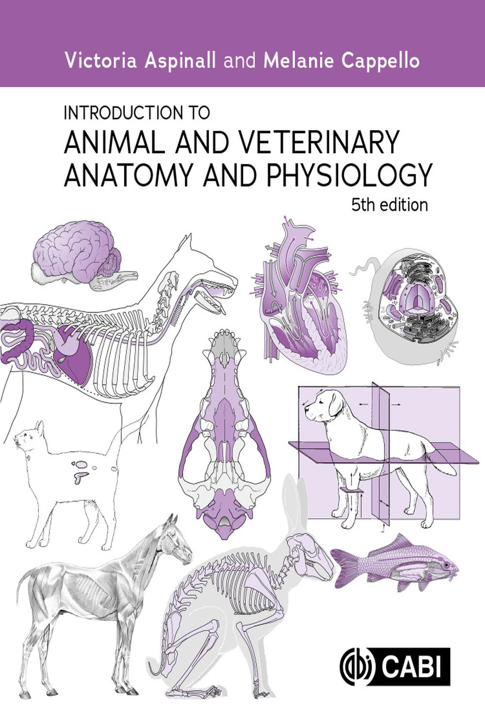PDF] Introduction to Animal and Veterinary Anatomy and Physiology
