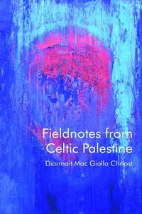 Fieldnotes from Celtic Palestine_cover