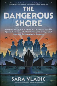 The Dangerous Shore_cover