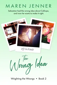 The Wrong Idea_cover