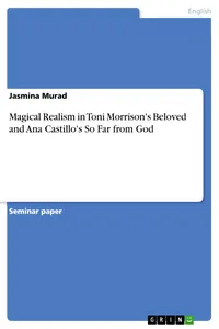 Magical Realism in Toni Morrison's Beloved and Ana Castillo's So Far from God_cover