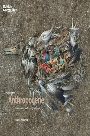 Surveying the Anthropocene