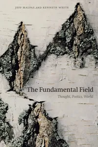 The Fundamental Field_cover