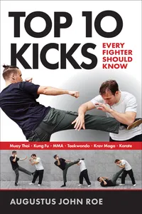 Top 10 Kicks_cover