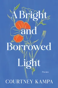 A Bright and Borrowed Light_cover