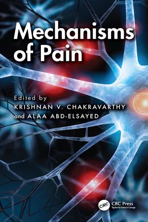 Mechanisms of Pain