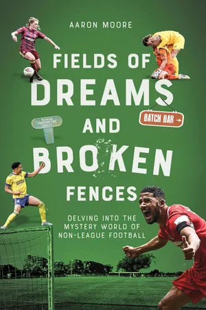 Field of Dreams and Broken Fences