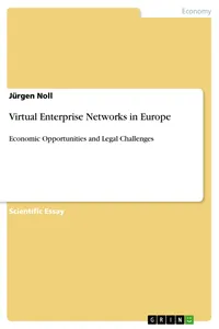 Virtual Enterprise Networks in Europe_cover