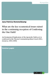 What are the key ecumenical issues raised in the continuing reception of Confessing the One Faith?_cover