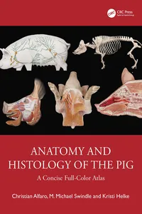 Anatomy and Histology of the Pig