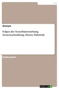 Folgen der Steuerhinterziehung. Steuernachzahlung, Zinsen, Haftstrafe_cover