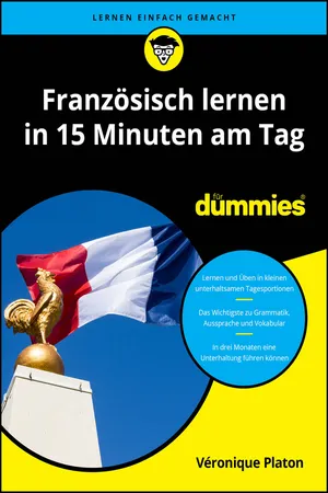 Französische Grammatik für Dummies