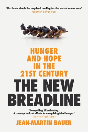 The New Breadline