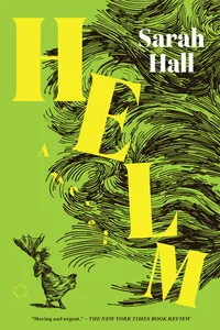 Helm_cover