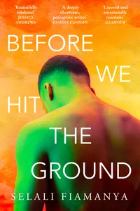 Before We Hit the Ground_cover
