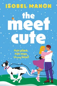 The Meet Cute_cover