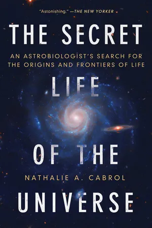 The Secret Life of the Universe