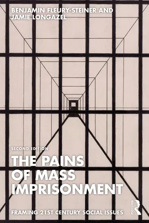 The Pains of Mass Imprisonment
