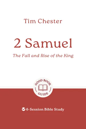 2 Samuel: The Fall and Rise of the King
