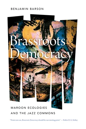Brassroots Democracy